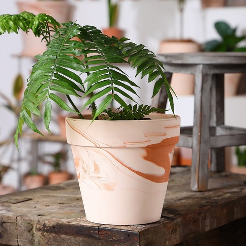 Burnt Orange Caramel Macchiato Red and White Ceramic Planter, Air-Permeable, Nordic Minimalist Succulent and Cactus Planter with Tray