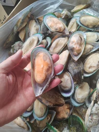 鱼类;虾类;贝类