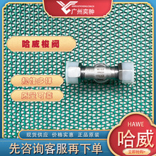 ��hawe����WVϵ��WV 6-S���yҺ���y ���g֧��