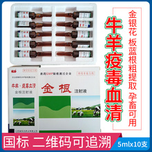 兽药牛羊疫毒血清金根注射液羊痘口疮下痢清热止痢混合感染高热病