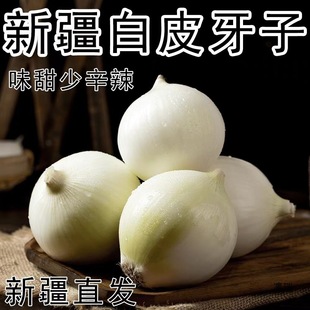 �½���Ƥ����10������[��������r�߲����Ժ��հ��]���l