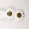 White Sunflower (more color in the store)