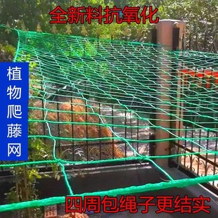 Plant Climbing Net for Vegetable Garden Balcony, Loofah Planting Grid, Cowpea Cucumber Outdoor Passion Fruit Climbing Support