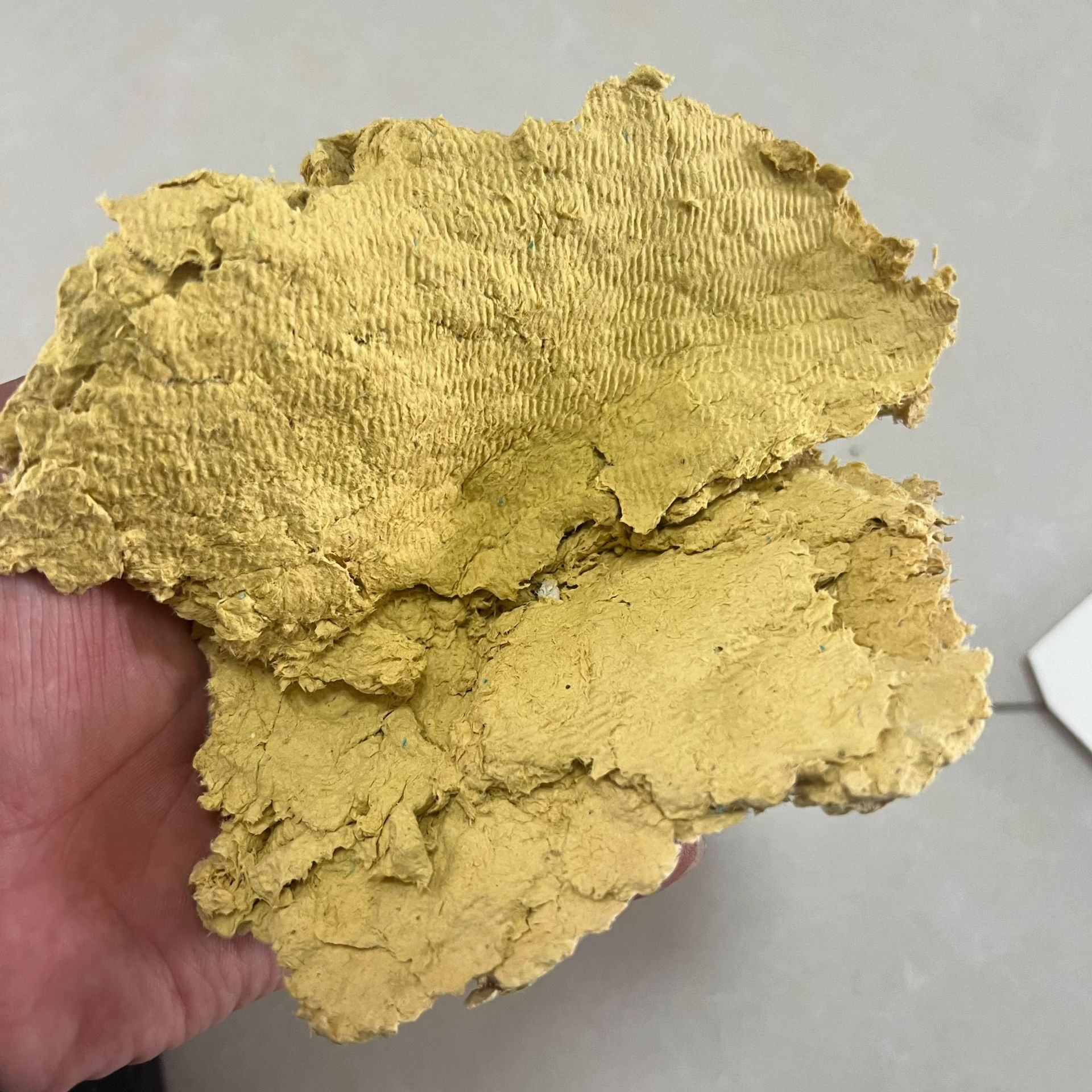 微信图片_20240408182216