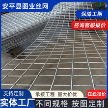 定制镀锌防鼠铁丝网防蛇钢丝网不锈钢网鸡兔笼阳台防护网格网