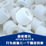 Маленький аквариум, стеклянный мундштук