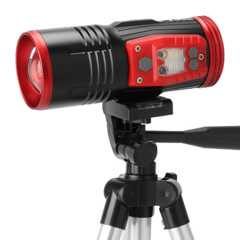LED induction light source, 2023 collection, high power
