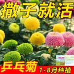 ƹ����ջ��������λ������ļ����ֻ���������̨�ʻ����Ի�������