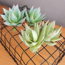 ����ֲ��ܛ�z�����J�C �羳���l ���W�ҾӘӰ��g�[���Gֲ�辰�ٻ�