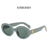 Fashionable trend sunglasses, brand retro glasses with letters, European style