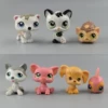 7 pets