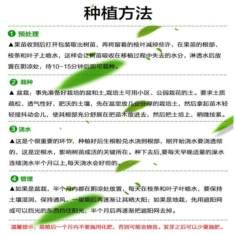 O1CN0192Sgmk1Klw9QVHfib_!!3426