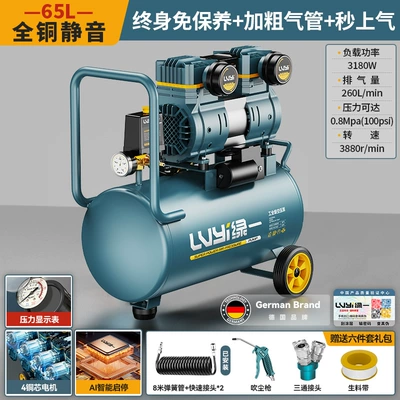 Green Industrial Air Compressor 220V Oil-Free Silent Air Pump High Pressure Air Compressor Portable Woodworking Air Pump (Hava kompressorları) - 65l-single-motor-all-copper-bass-solenoid-valve-oil-free-and-maintenance-free-intelligent-start-and-stop