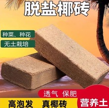 Ҭ�u�I�B���B��ͨ����Ҭ��ֲ�ﻨ���N������Ó�}���������Nֲ��