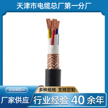 Ӌ��C������| DJYPVP-1*2*1��о��ȼ�ͻ��~����Ӌ��C��|�S��