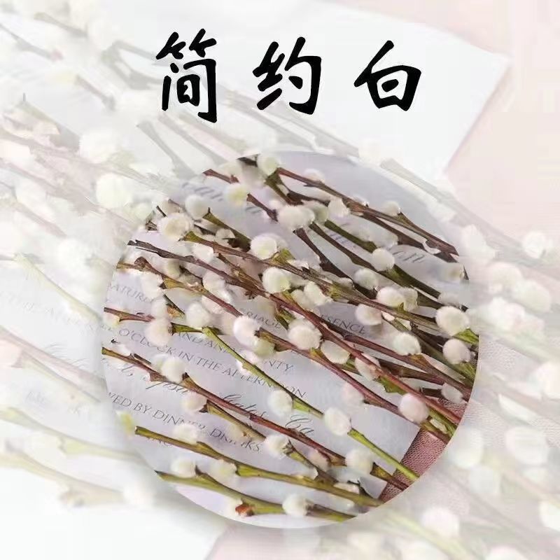 오리지널 생태 [은이집] - (바닥형 1m 하이] 30개 무료 랜턴