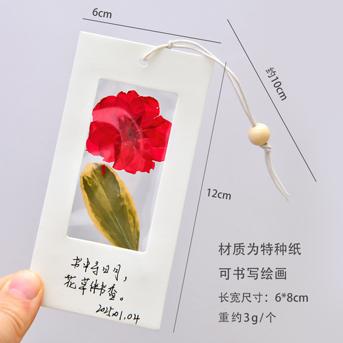 Specimen Bookmarks Dried flower embossed Bookmarks Handmade diy material bag Transparent plant leaves specimen for students