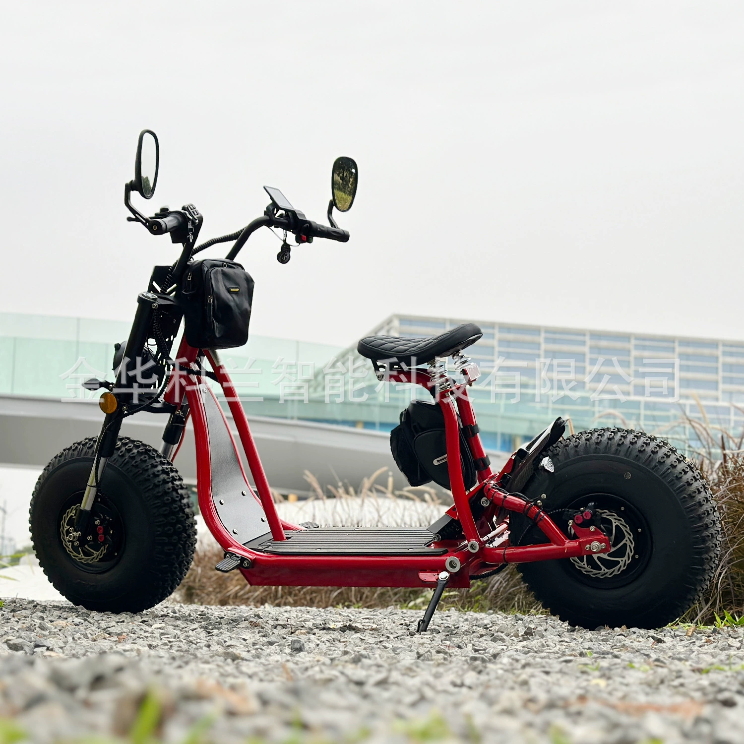 Электросамокат EEC New Harley с отсоединяемой литиевой батареей, для взрослых, с большими колесами, широкими шинами и педалями.