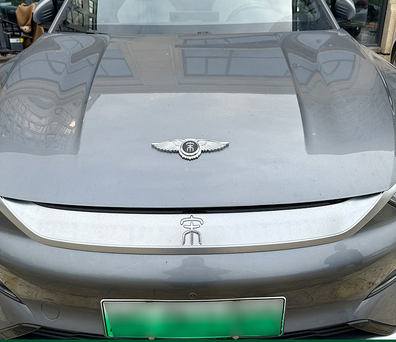 Applicable to Haver MG Volkswagen Car logo Vertical Standard Flying Eagle Standard Stainless Steel Metal Car Mark Engine Cover Vertical Standard
