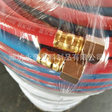 ���z�ɾ�������Ȳ�� �t�{�p�pɫ���ӹ� ��ĥ�͠C�߉�ܛ��