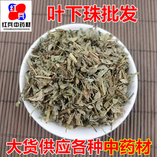 ���l��؛��ș�� �~���� ����� ҹ�ϲ� ���в� ����ă�