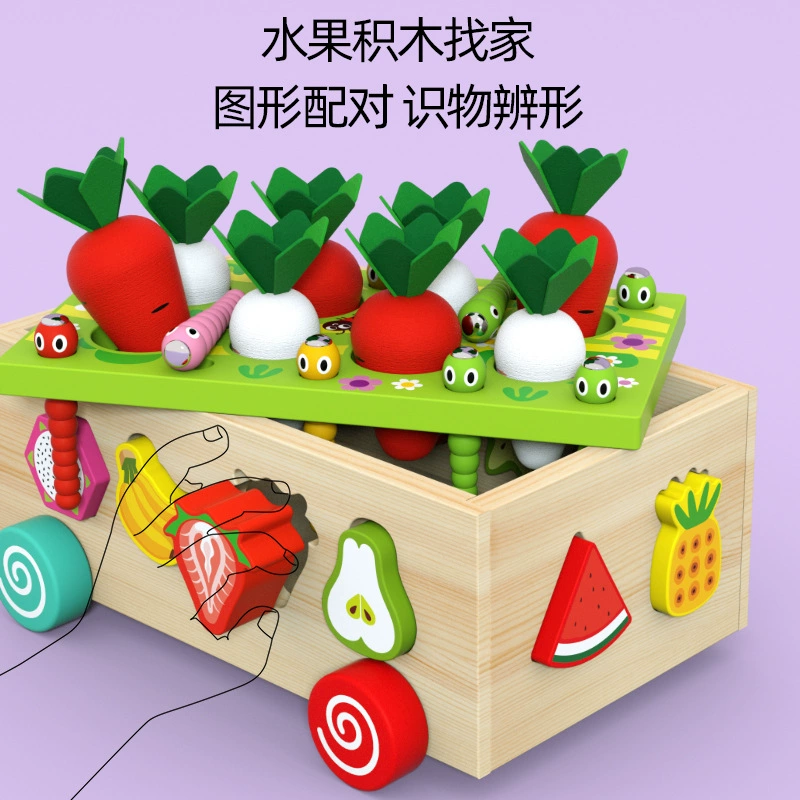 Smart toy, geometric farm, cognitive intellectual constructor for fishing