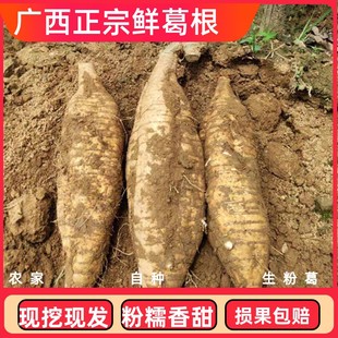 ���ڏV��������r�F�ڟo�����۸��r���خa��Ұ������Ҝ�