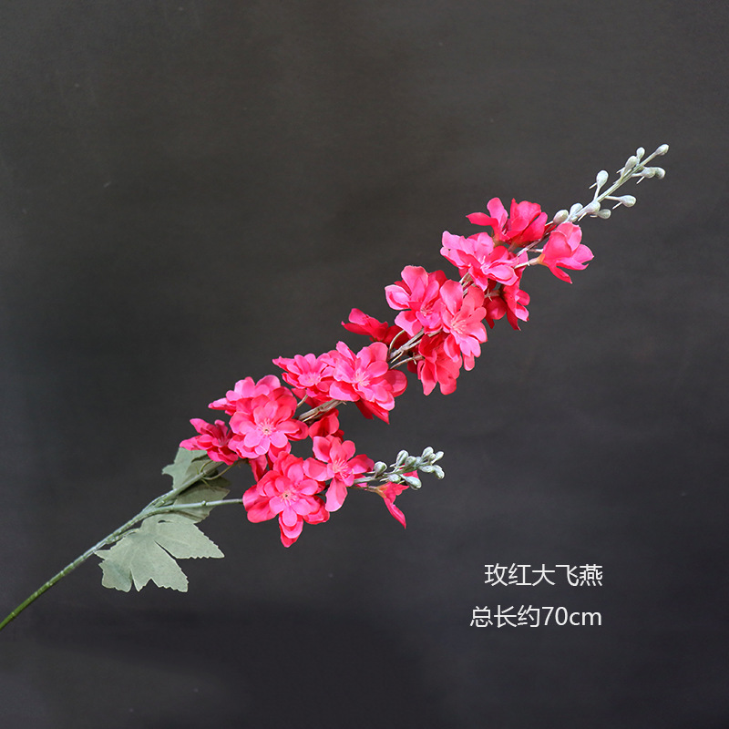 Rosa Rojo Big Swallow