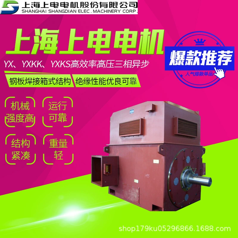Электродвигатели серии YX, YXKK, YXKS от Shanghai Shangdian Motor — высокоэффективные высоковольтные трехфазные асинхронные двигатели от производителя.