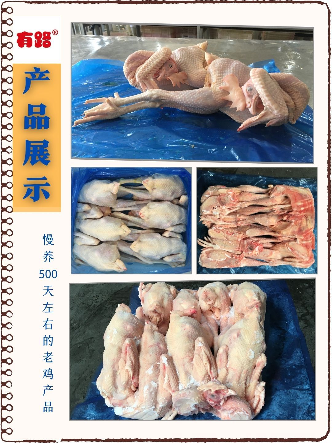 详情页图4变之579大公鸡