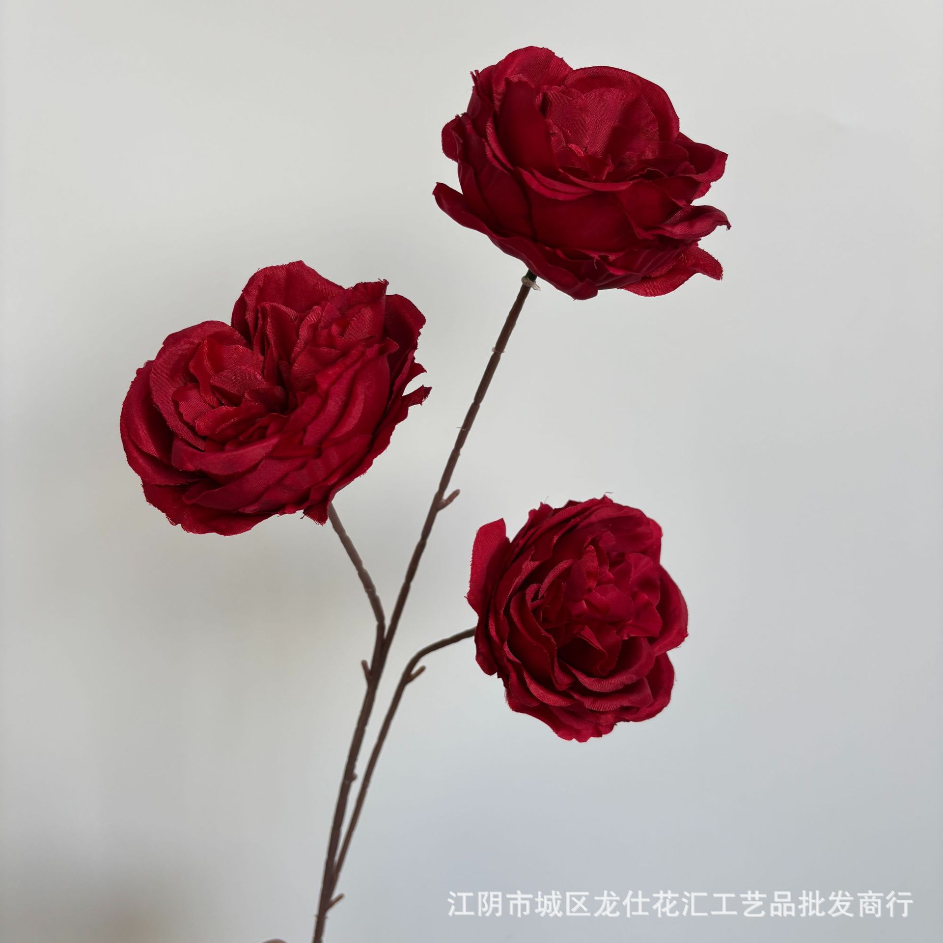 하이 카운트 오스틴