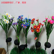 ̫���Ұ�������滨�����ˮͥԺ�e�����@�b�̫��ܲ�ƺ�ز��