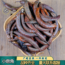 凡一堂 皂角 猪牙皂 小皂角 皂荚长皂角 道地选材可无痕发货