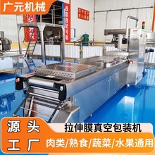 定制起泡大豆皮拉伸膜真空包装机 韩国粉耗子冷面拉伸膜包装机