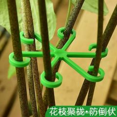 亀背竹支持固定器倒伏防止春羽ステント水培枝固定植木鉢架園芸花卉緑植
