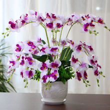 m滨ٻ͏d[ҾbƷҕ҃Ȕ[