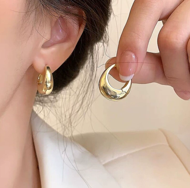Silver 925 Earrings — Light Luxury Hoops & Drops, High-Quality Sterling, Multiple Sizes