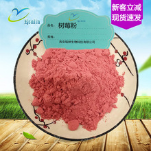 树莓粉 树莓汁粉 水溶  资质有  固体饮料代餐  瑞林现货供应