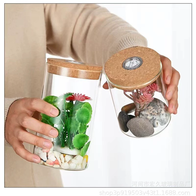 Большая емкость прозрачное стекло микропейзаж экологическая бутылка офис Настольный ландшафтный дизайн ведро аквариум креативный экологический шар микропейзаж