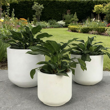 ƵԷNֲֹ ͸V ̨mG}b