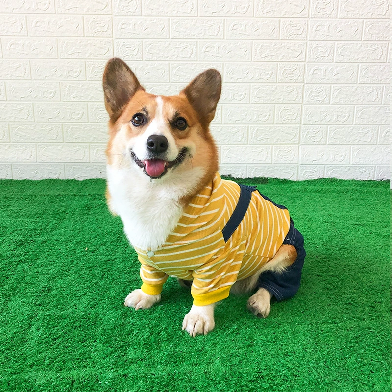 Собачья одежда четырехногая коджи милая осенняя и зимняя маленькая собака Тедди осенняя одежда весна и осень