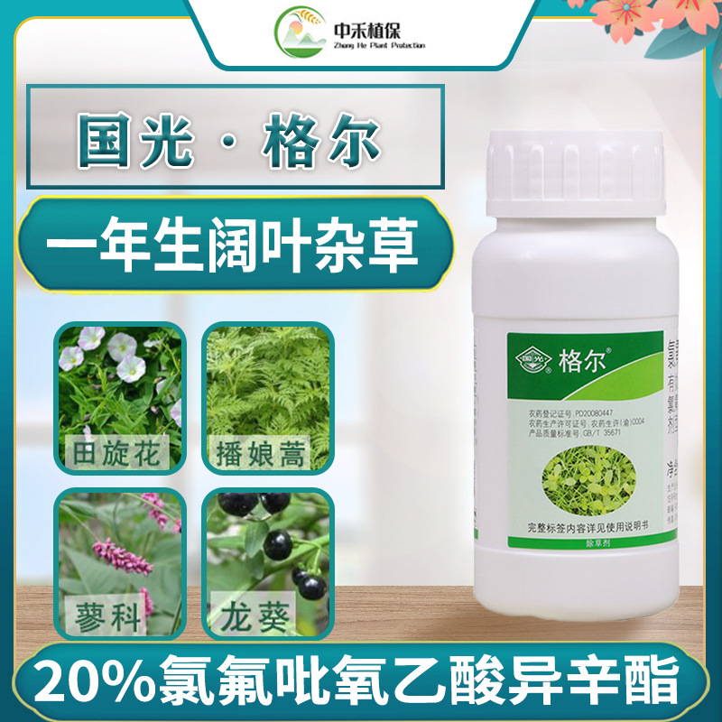 国光格尔马尼拉百幕大麦冬高羊茅早熟禾草坪除阔叶杂草高效农药批