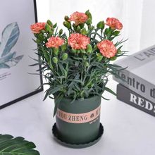 ܰԎļ_҃ȴ̨ʯBGֲͶY