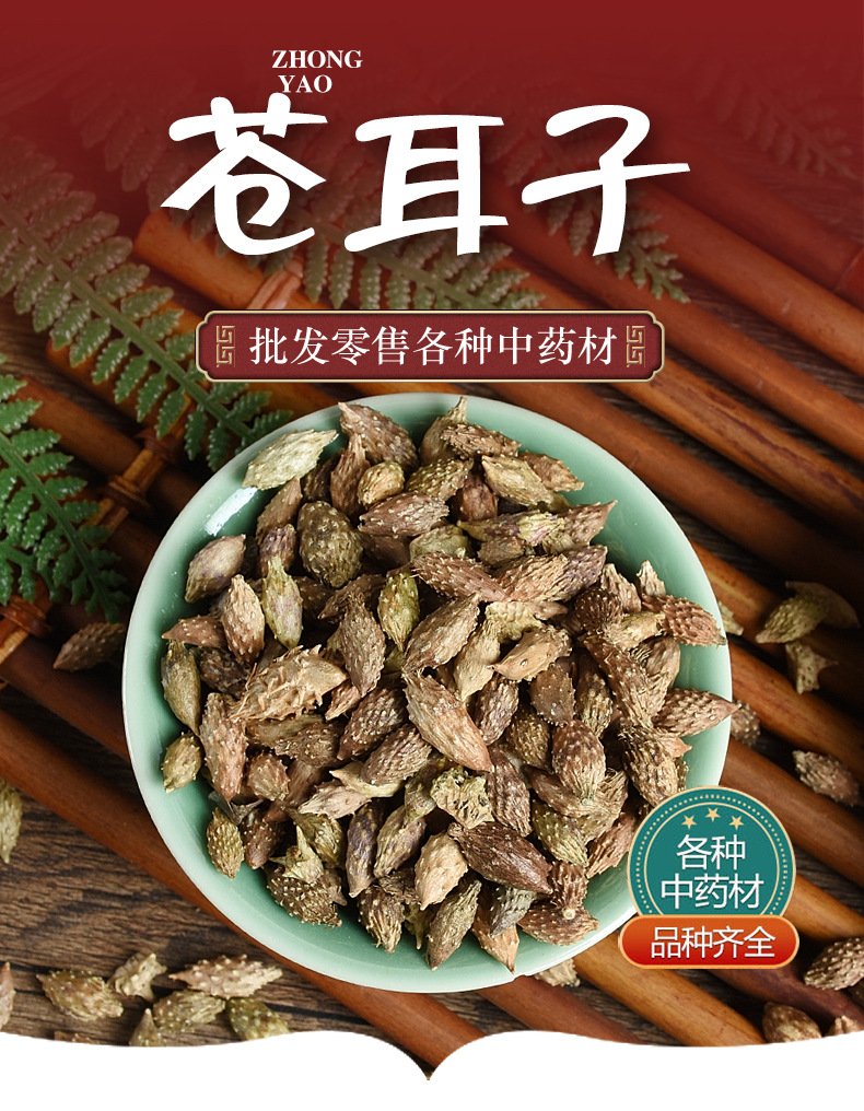 Cang Er Zi (Xanthium sibiricum) — De-Spined Dried Fruit for Herbal Decoction & Soup overview