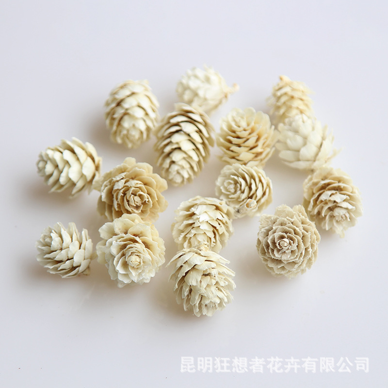 Tẩy trắng quả thông nhỏ 2-3cm (một túi 20g, khoảng 14 chiếc)