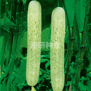 ��@һ̖�����С����ذ��S����Ʒ�N����Ʒ���m�N��30����