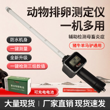猪牛羊用排卵检测仪母猪发情配种测定仪骡马配种仪器兽用排卵检测