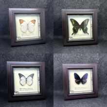 ������˱���� ľ�|�b�DIY�͹����[̨�Ҿ��b����նY��YƷ