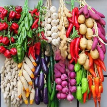 假玉米红辣椒串塑料大蒜农作物农家乐庭院挂串水果蔬菜麦太保