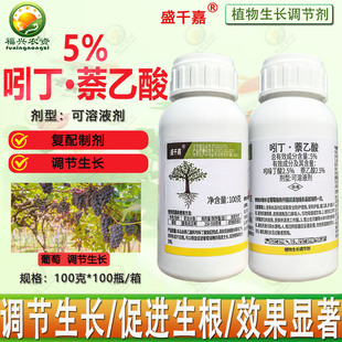 �|��5%���ᶡ������������Ǥ��������߳ɻ���ֲ�����L�{�����rș